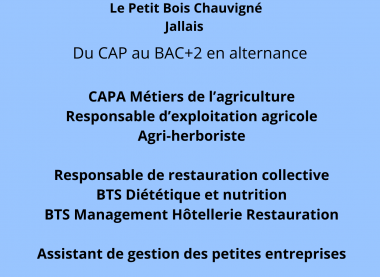 Affiche sur fond bleu annonçant les Journées Portes Ouvertes : samedi 14 mars, de 9h à 17h. Lieu : Centre de formation en alternance – Le Petit Bois Chauvigné, Jallais. Mention : “Du CAP au BAC+2 en alternance”. Formations listées : CAPA Métiers de l’agriculture, Responsable d’exploitation agricole, Agri-herboriste, Responsable de restauration collective, BTS Diététique et nutrition, BTS Management Hôtellerie Restauration, Assistant de gestion des petites entreprises. Slogan : “Apprendre pour évoluer, se former pour s’élever.” En bas : logo MFR/CFA Le Petit Bois Chauvigné Jallais, une illustration d’une personne aux jumelles, coordonnées 02 41 64 15 65 et cfp.jallais@mfr.asso.fr , et un QR code.